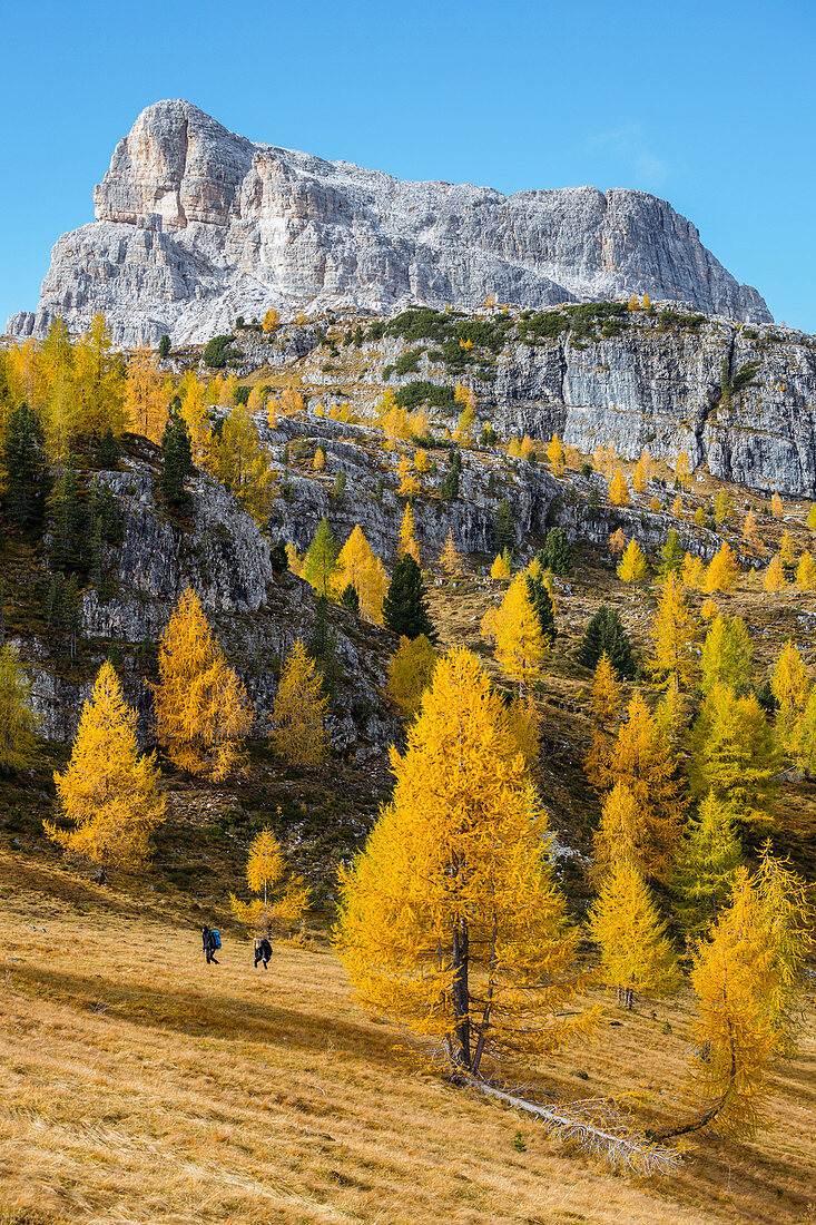 Italy,Veneto,Belluno district,Boite valley,two hikers with Mount Averau in the background 