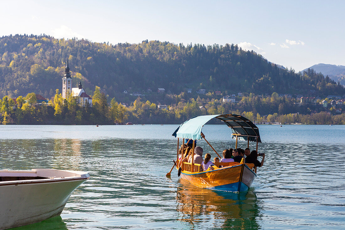 Touristenboot auf dem Bleder See und die Burg im Hintergrund, Bled, Oberkrain, Slowenien
