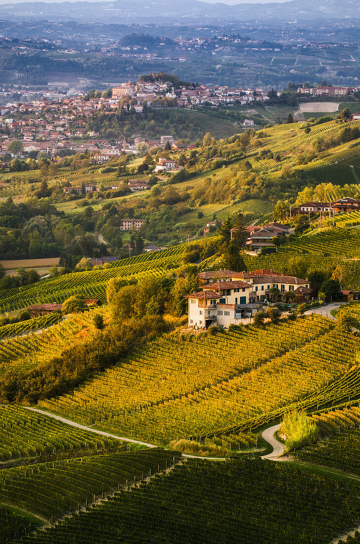 Hügel von Langhe mit Laub und Blick auf Castagnole delle Lanze von Valdivilla, Santo Stefano Belbo, Piemont, Italien