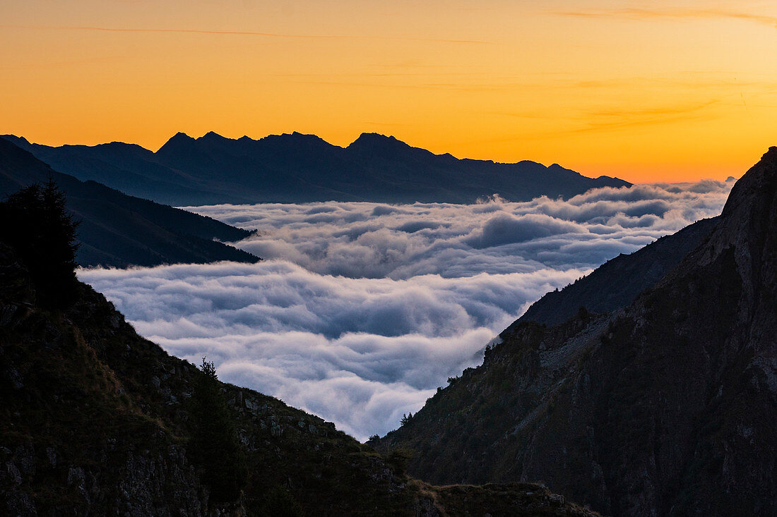 Sonnenaufgang mit Wolkenteppich im Vordergrund in den Bergen, Tonale-Gipfe im Hintergrund, Casola Pass, Ponte di Legno, Alpen, Provinz Brescia, Lombardei, Italien, Europa