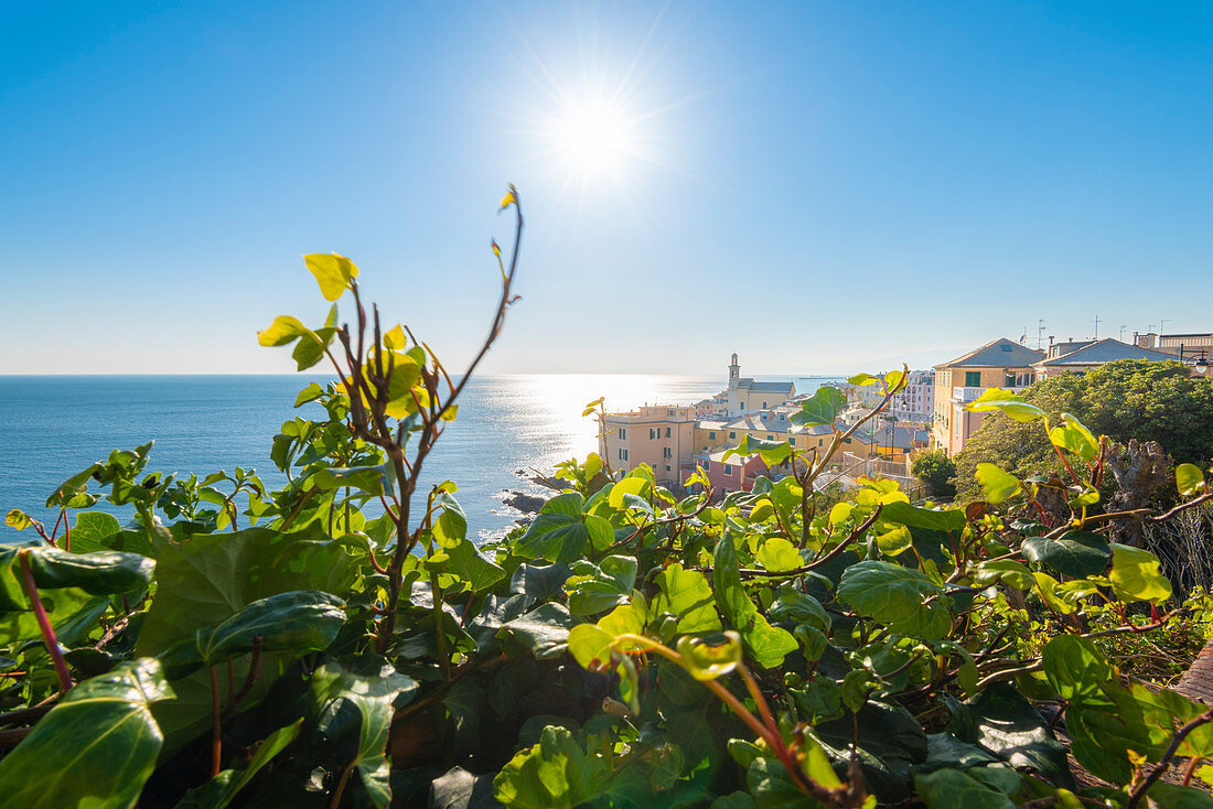 Boccadasse, Genua, Ligurien, Italien