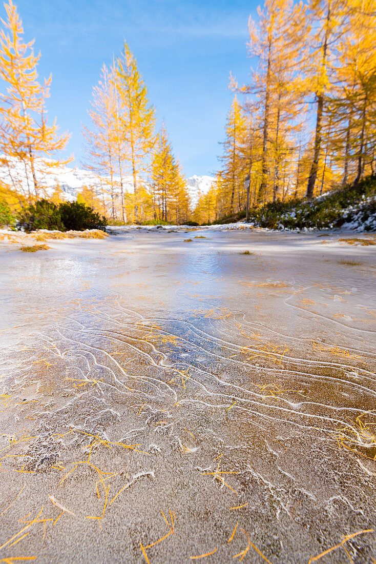 Erster Frost, Alpe Veglia, Naturpark Alpe Veglia und Alpe Devero, Ossola, Provinz Verbano-Cusio-Ossola, Piemont, Italienische Alpen, Italien