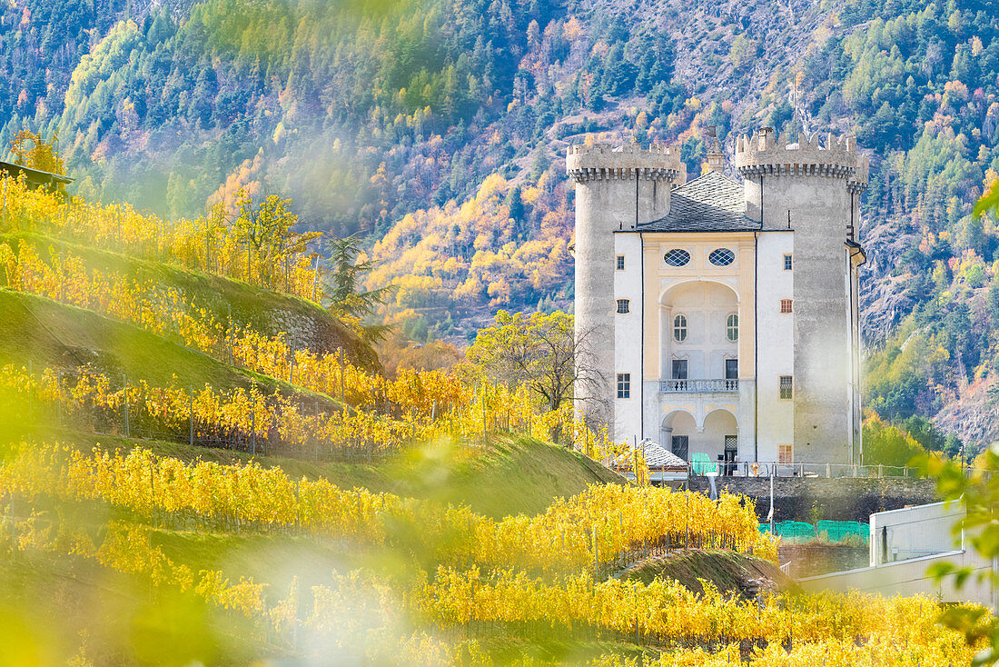 The castle of Aymavilles, Aosta Valley, Italian alps, Italy