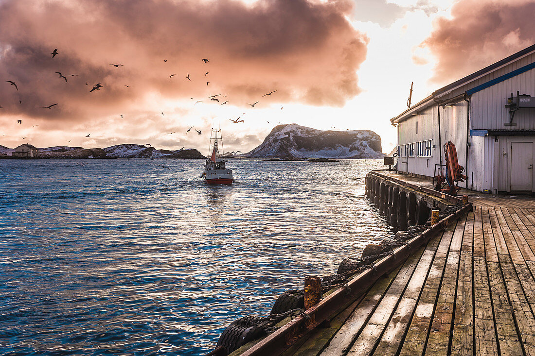 Fishing boat move by the port of rost island, Lofoten Islands, Norway