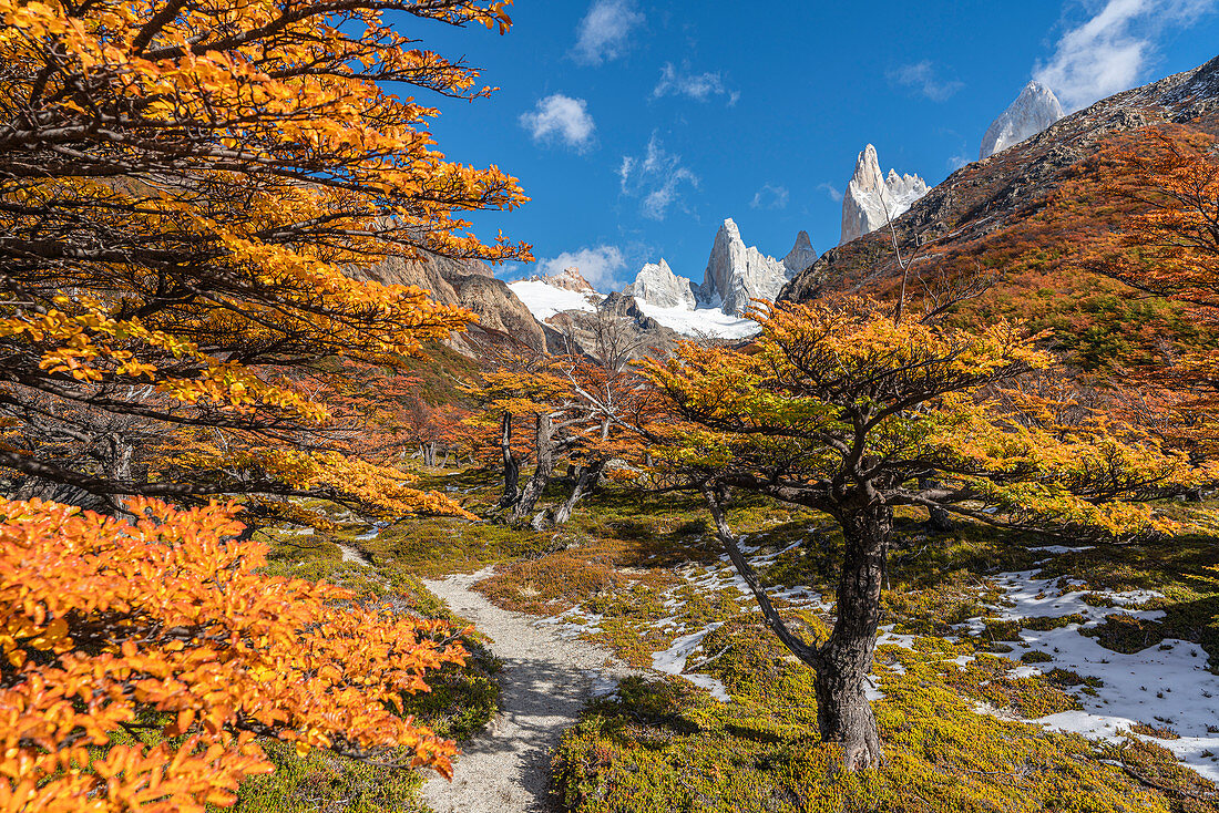 Autumn scenery along the trail to Laguna Sucia, with Fitz Roy in the background. El Chalten, Santa Cruz province, Argentina.