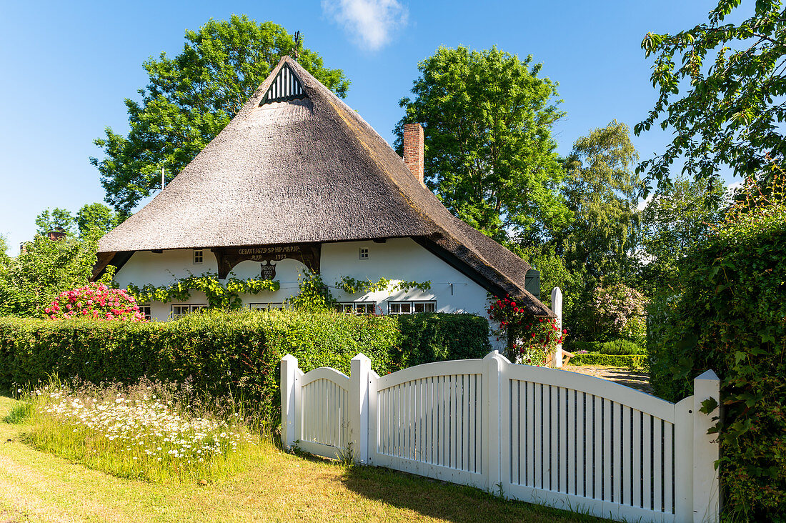 Thatched roof in Siggeneben, Ostholstein, Schleswig-Holstein, Germany