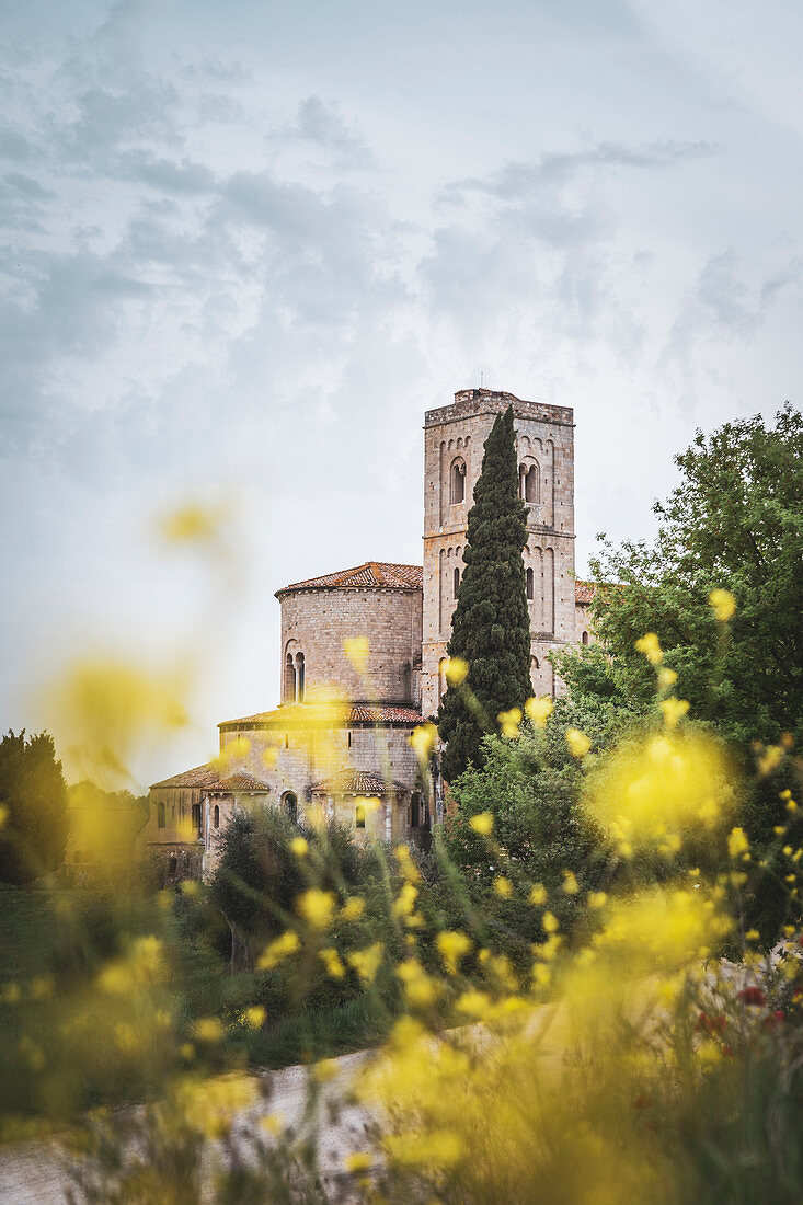 The abbey of Sant'Antimo during spring season, Castelnuovo dell'Abate, Grosseto, Tuscany, Italy, Europe