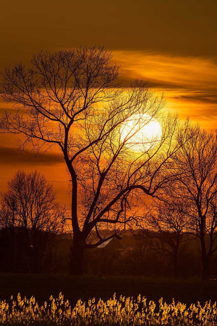 Sunset in Ostholstein; Schleswig-Holstein, Germany