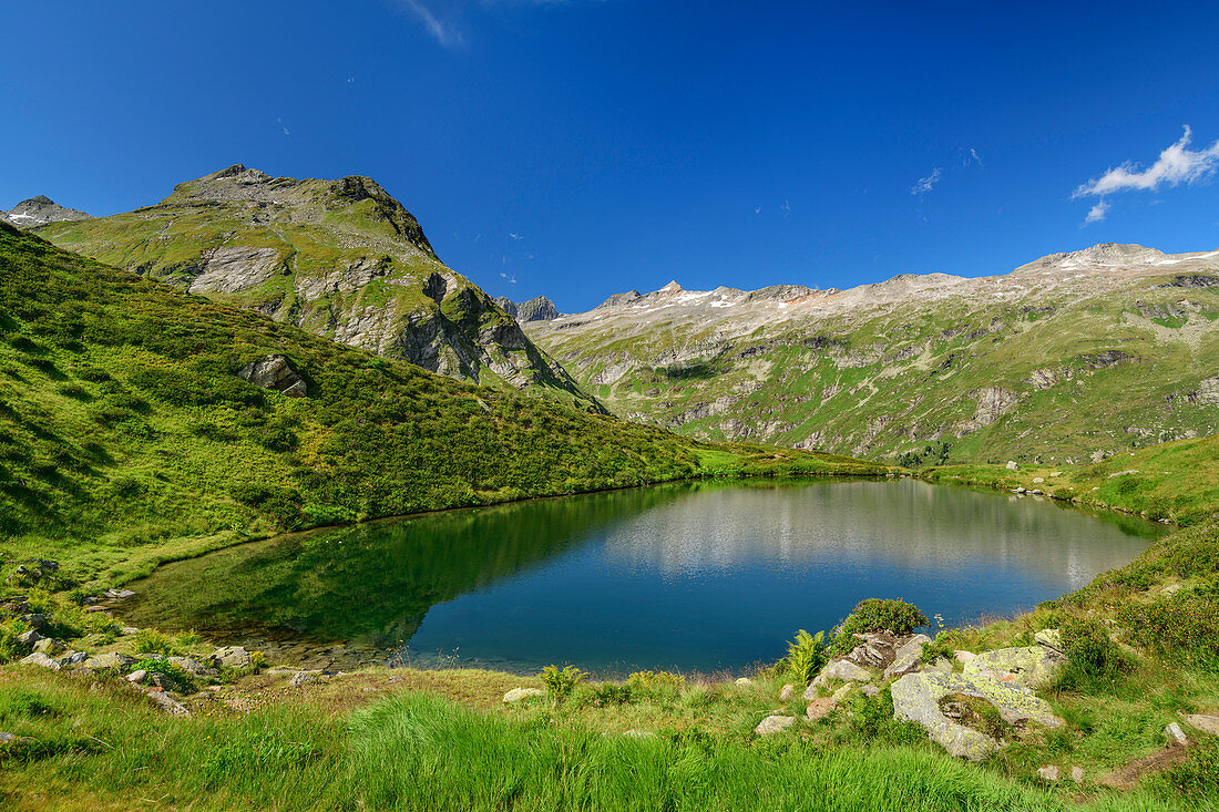 Mountain lake with Venediger Group in the background, Salzbodensee, Venediger Group, Hohe Tauern, Hohe Tauern National Park, East Tyrol, Austria