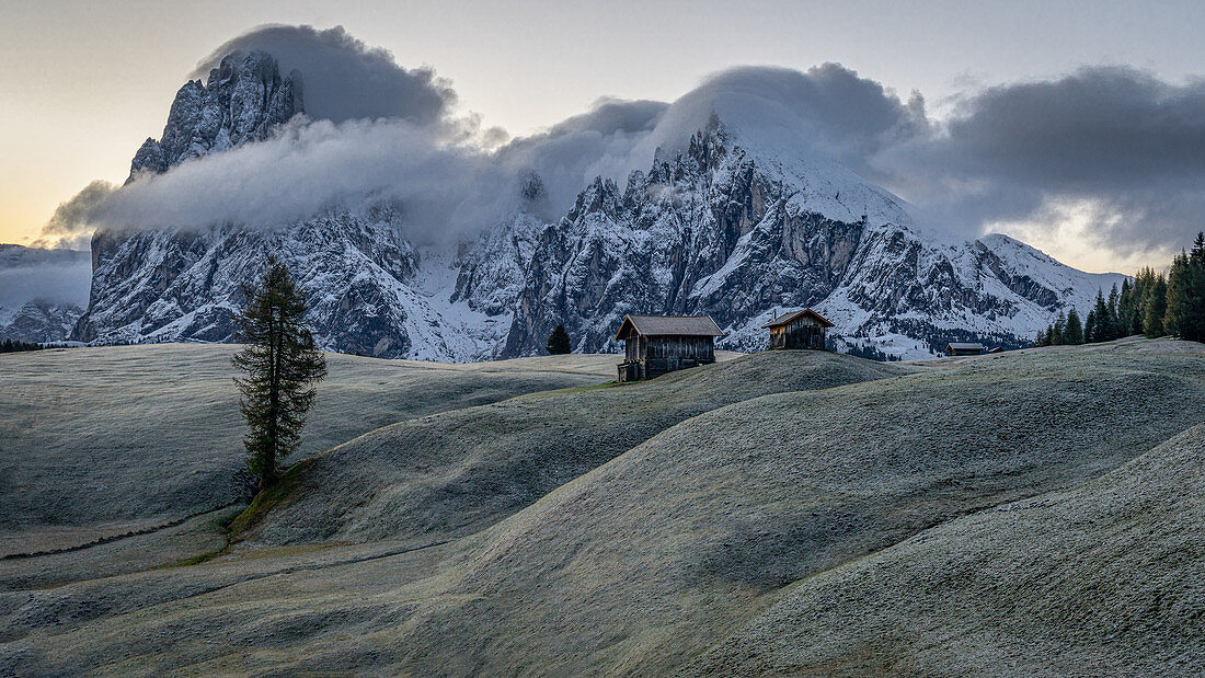 Sunrise on the frosty Seiser Alm with a view of Langkofel and Plattkofel in South Tyrol, Italy