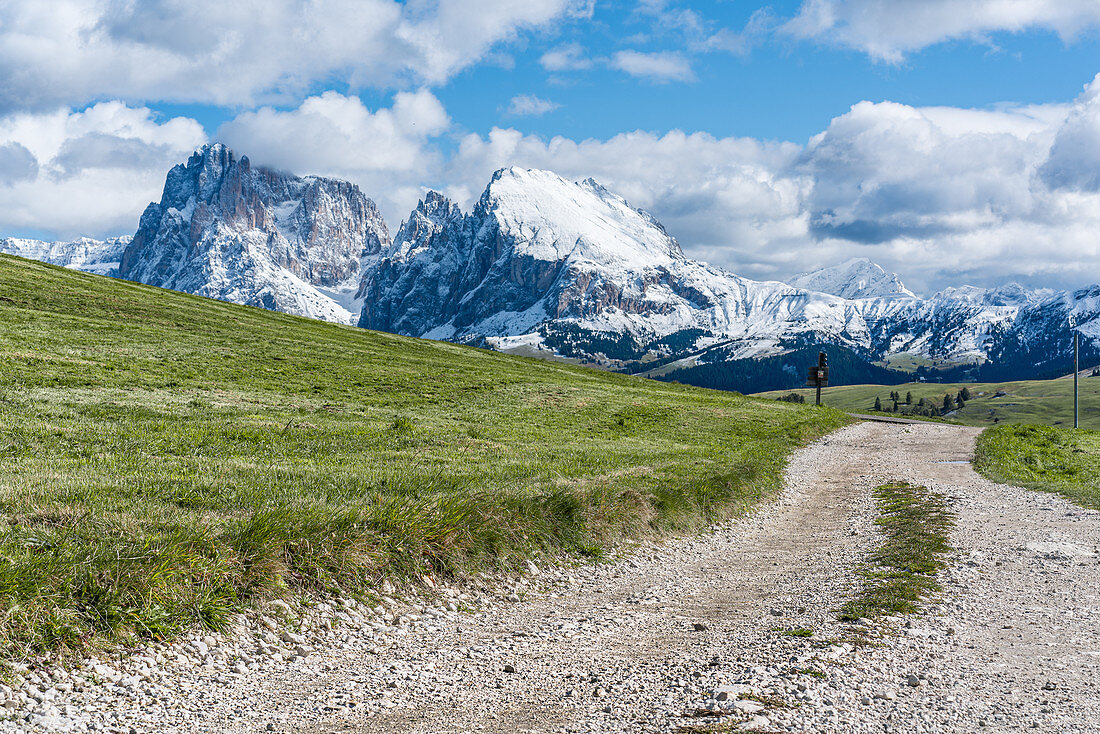 Hiking trail at Puflatsch on the Alpe di Siusi in South Tyrol, Italy