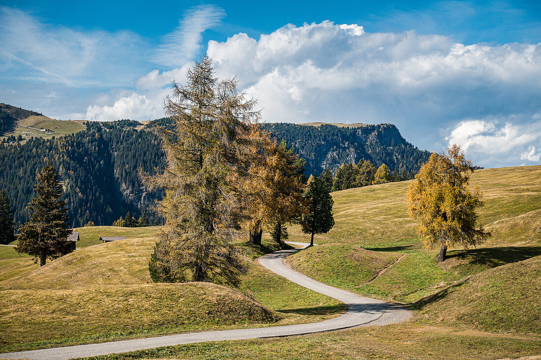 Autumn day on the Seiser Alm in South Tyrol, Italy