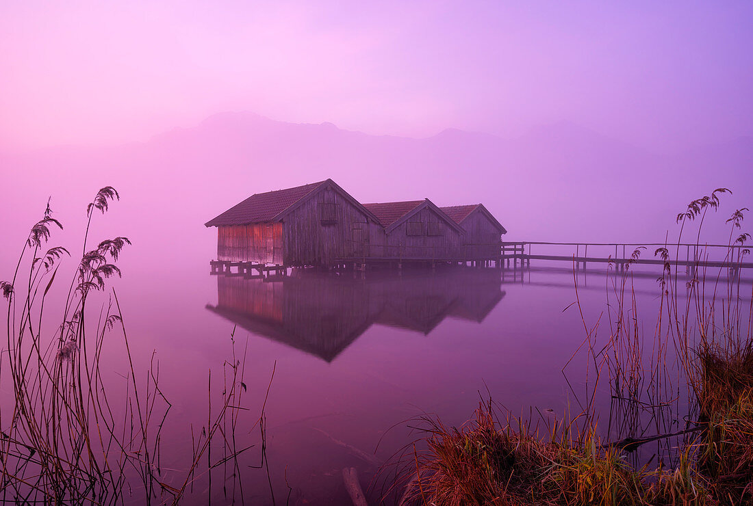 The three boathouses on the Kochelsee at sunrise, Upper Bavaria, Bavaria, Germany, Europe