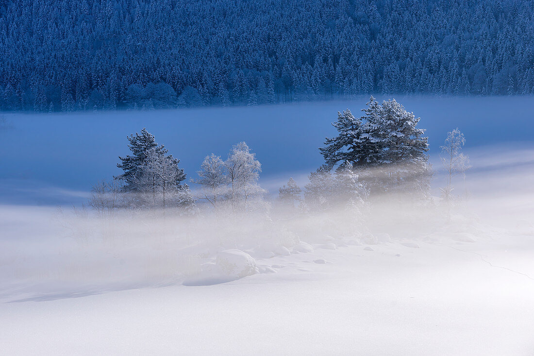 Nebelumhülltes Inselchen im zugefrorenen Eibsee, Grainau, Oberbayern, Bayern, Deutschland