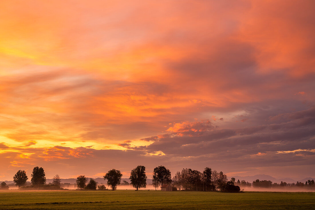 Fog morning in the Weilheimer Moos, Weilheim, Upper Bavaria, Bavaria, Germany