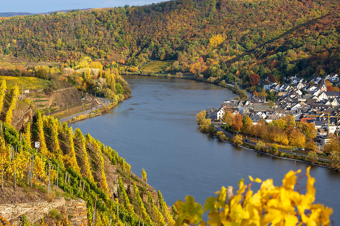 Blick über Weinberge und Mosel auf Lay, Mosel, Rheinland-Pfalz, Deutschland