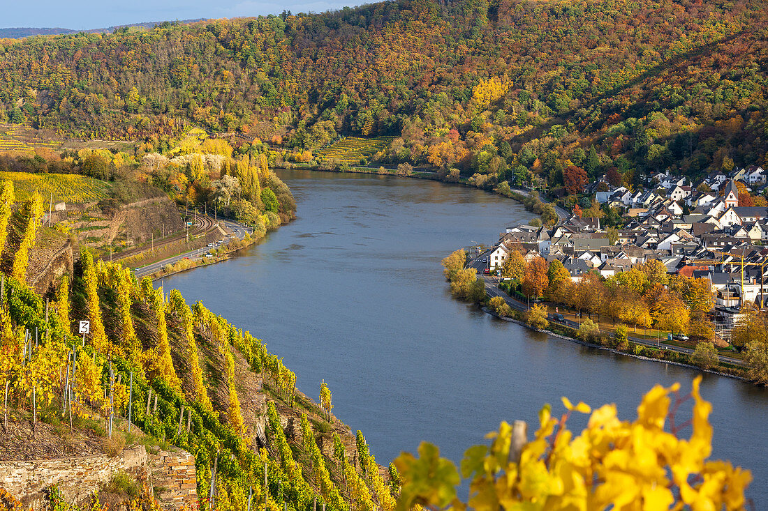 View over vineyards and Moselle to Lay, Moselle, Rhineland-Palatinate