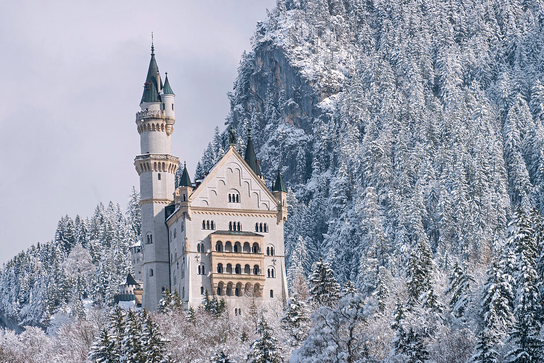 Schloss Neuschwanstein aus dem 19. Jahrhundert oberhalb von Hohenschwangau bei Füssen, Bayern, Deutschland