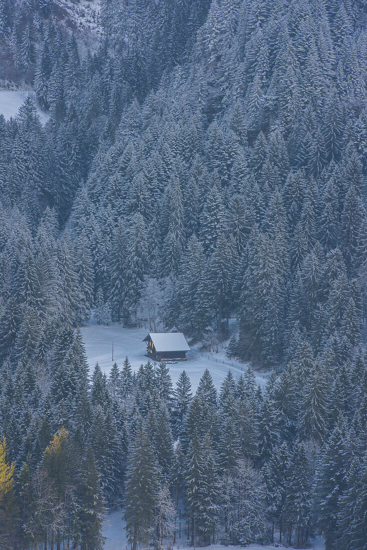 Einsames Chalet im Schnee im Winter in Val d'Illiez nahe Champery, Schweiz