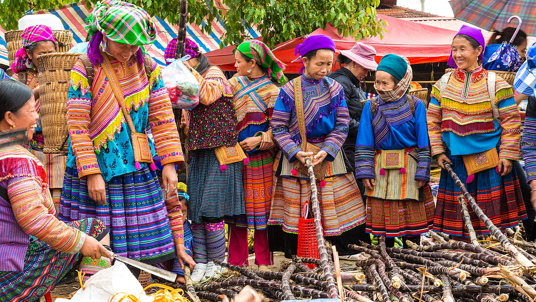 Leute vom Blumen-Hmong-Stamm am Markt, Frauen kaufen Zuckerrohr, Bac Ha Markt, Provinz Lao Cai, Vietnam.