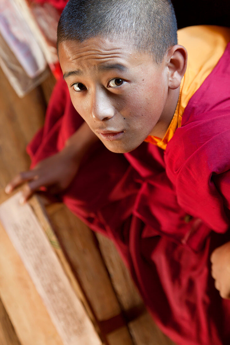 Young monks studying, Chimi Lhakhang Monastery, Pana, Bhutan