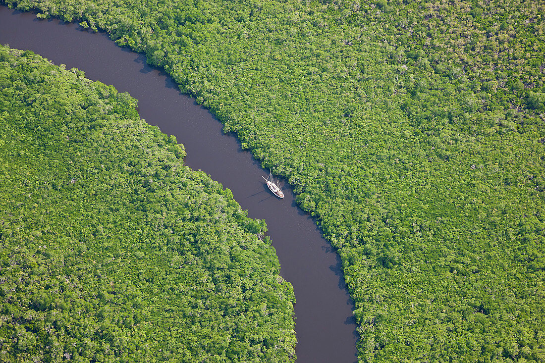 Luftaufnahme vom Segelboot und dem Regenwald, Daintree River, Daintree-Nationalpark, Queensland Australien