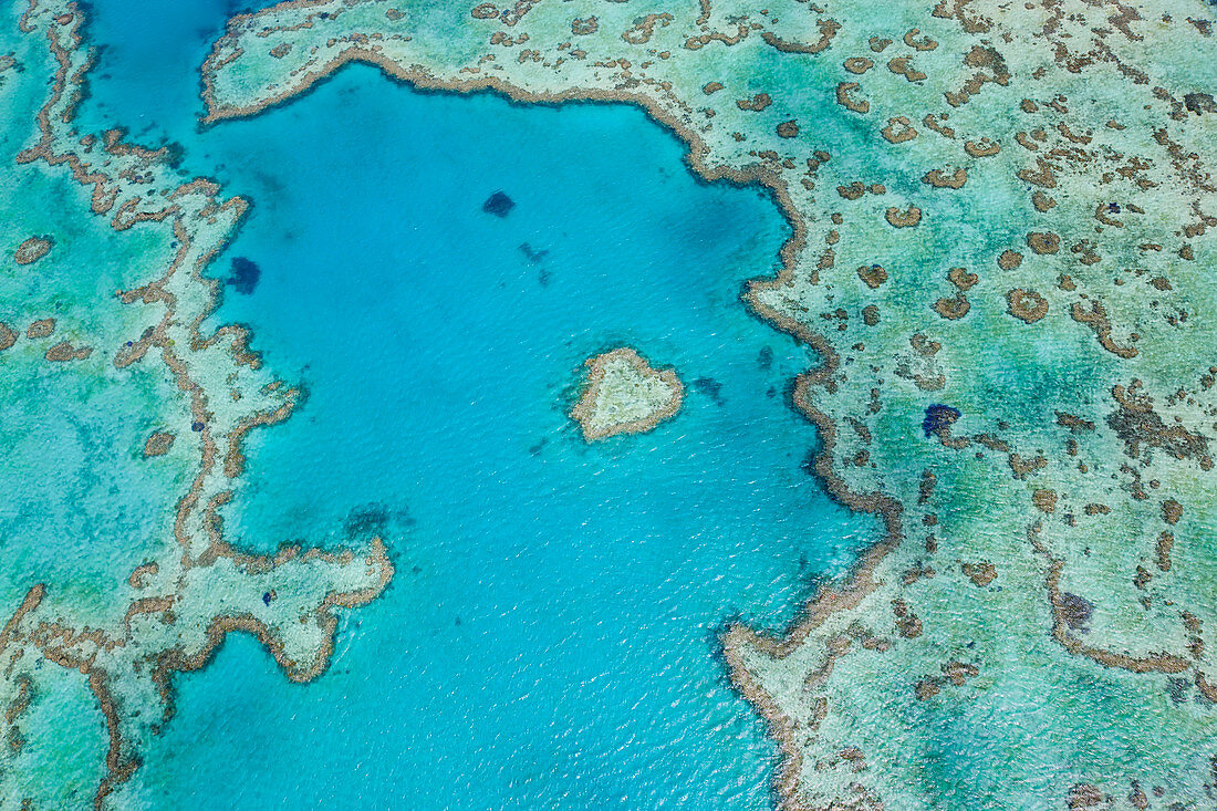 Luftaufnahme des Heart Reef, Teil des Great Barrier Reef, Queensland, Australien