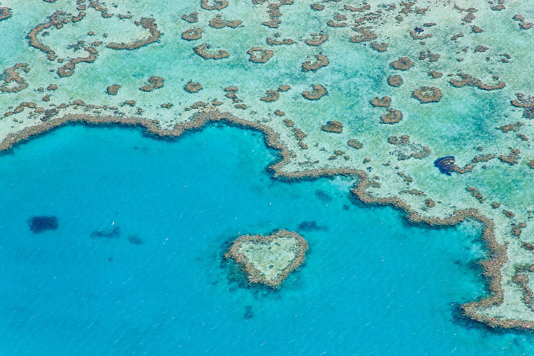 Aerial view of Heart Reef, part of Great Barrier Reef, Queensland, Australia