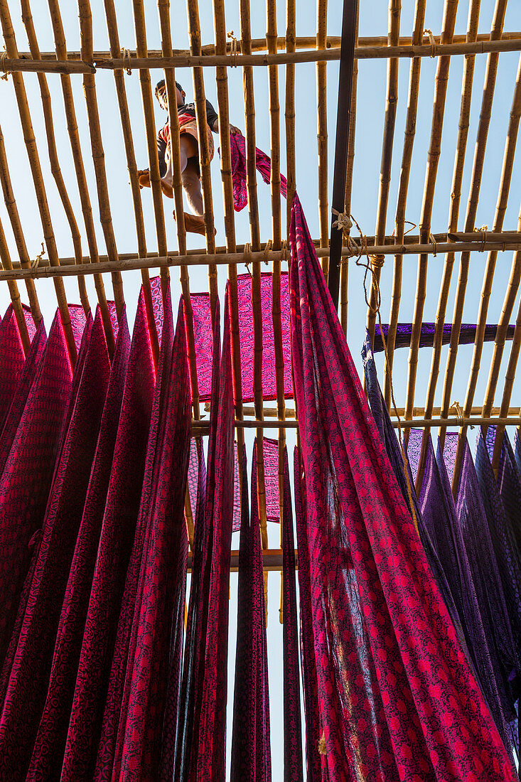 Sari Factory, Textiles dried in the open air, The textiles are hung to dry on bamboo rods, the long bands of textiles are about 800 metre in length, nr Jaipur, Rajasthan, India