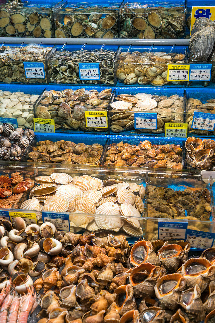 Stall selling shell fish, Noryangjin Fish Market, Seoul, South Korea