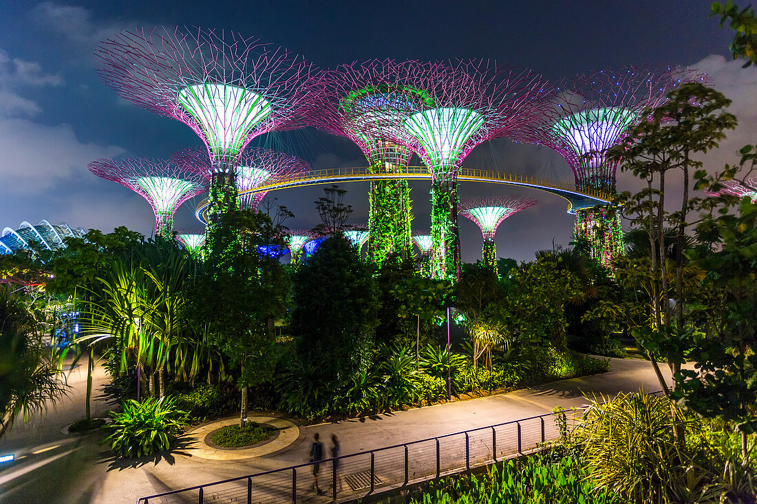 Supertree Grove (futuristische Bäume) in der Nacht in 'Gardens by the Bay', Marina Bay, Singapur