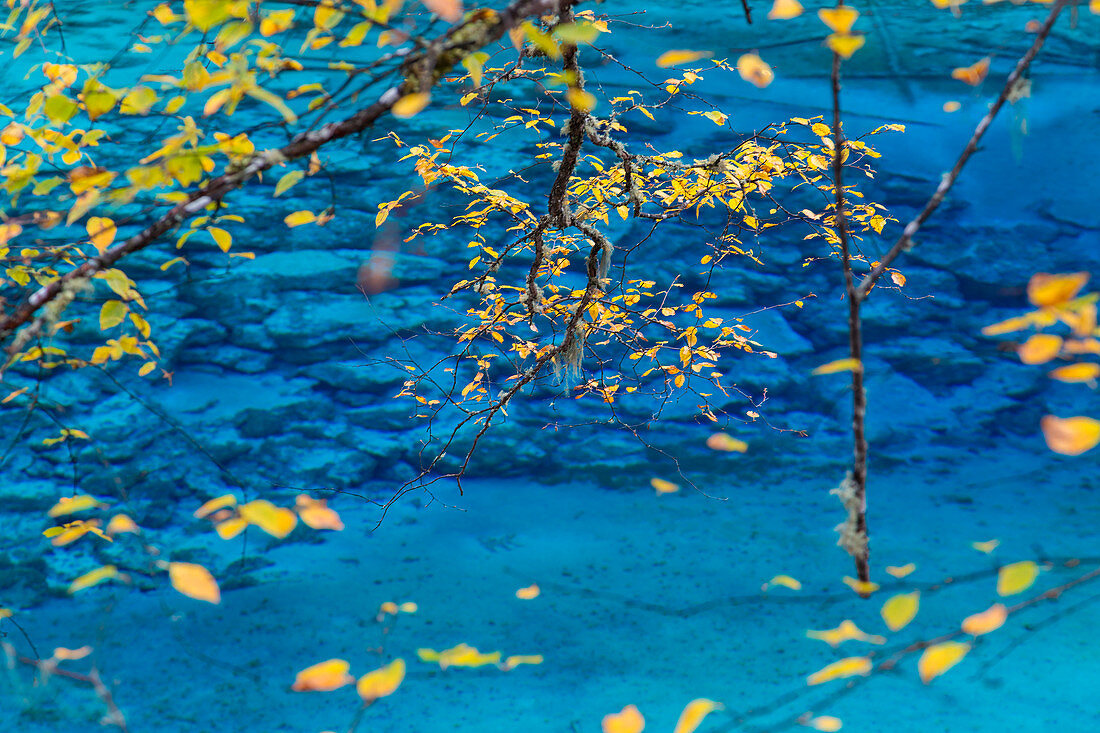 Autumn trees and lake, Jiuzhaigou National Park, Sichuan, China