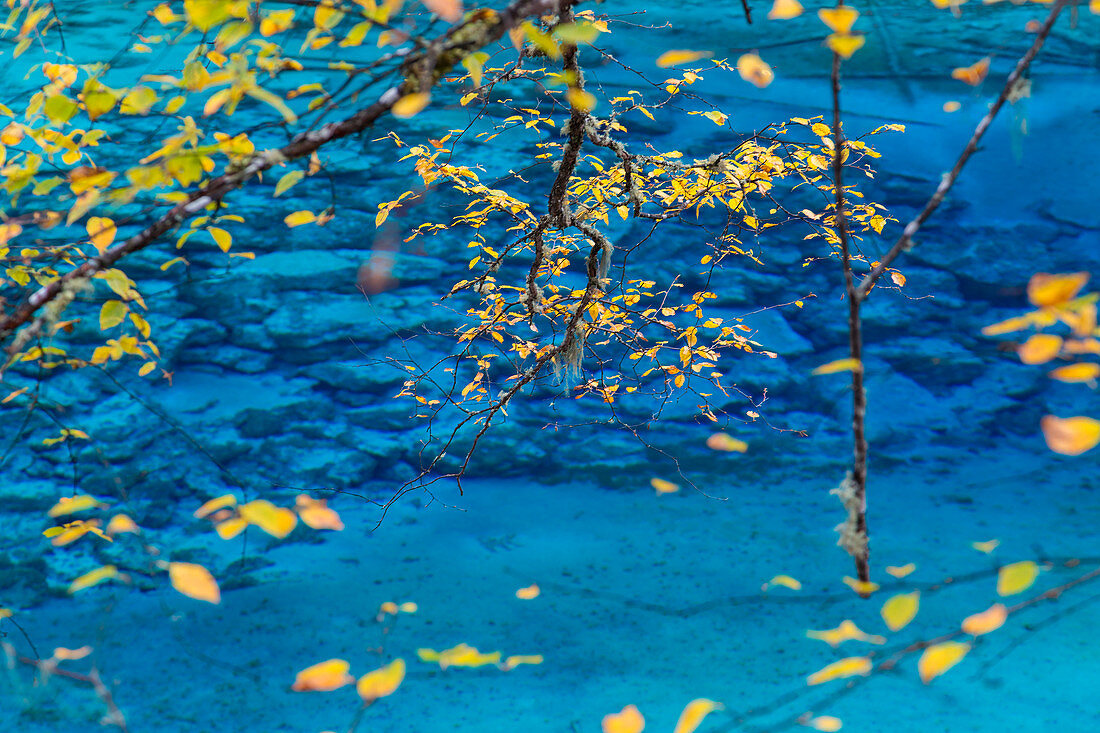 Herbstbäume und See, Jiuzhaigou Nationalpark, Sichuan, China