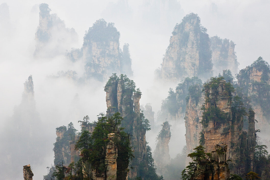 Tian Zi Berg, Zhangjijie, Hunan, China