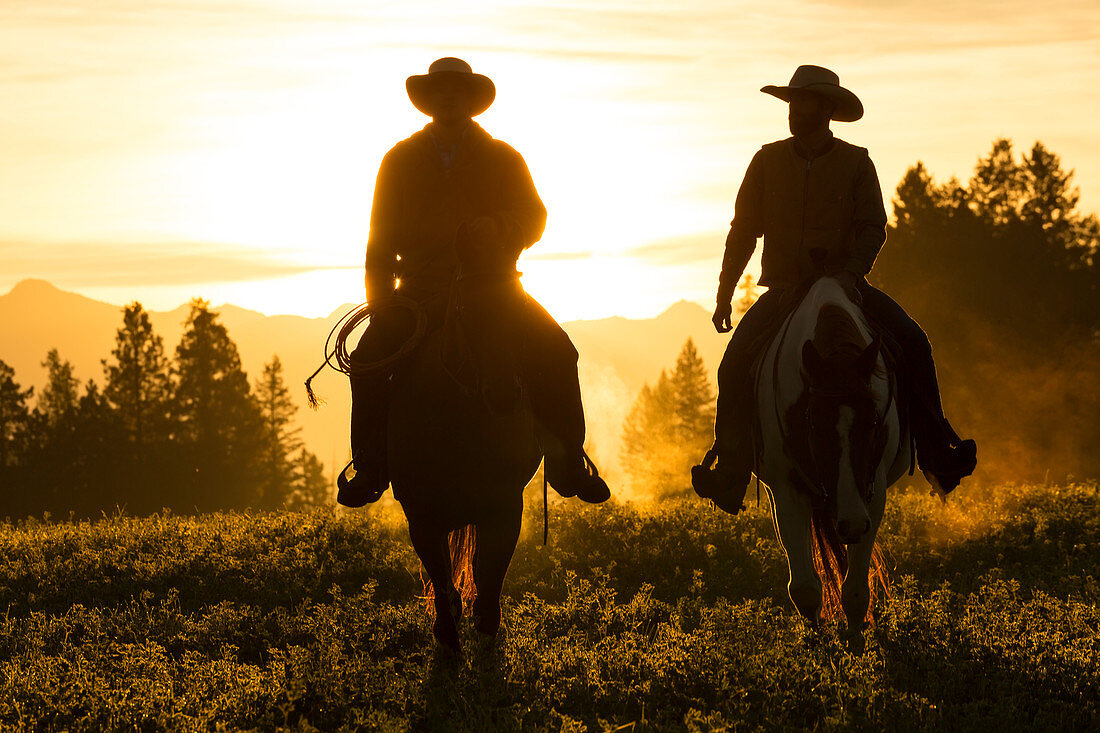 Cowboys reiten über Grasland mit Bergen dahinter, am frühen Morgen, Britisch-Kolumbien, Kanada
