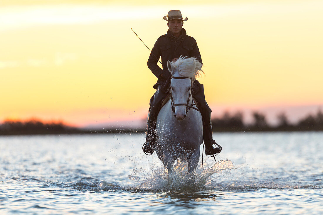 Camargue, France. Cowboy riding his horse through water at sunset