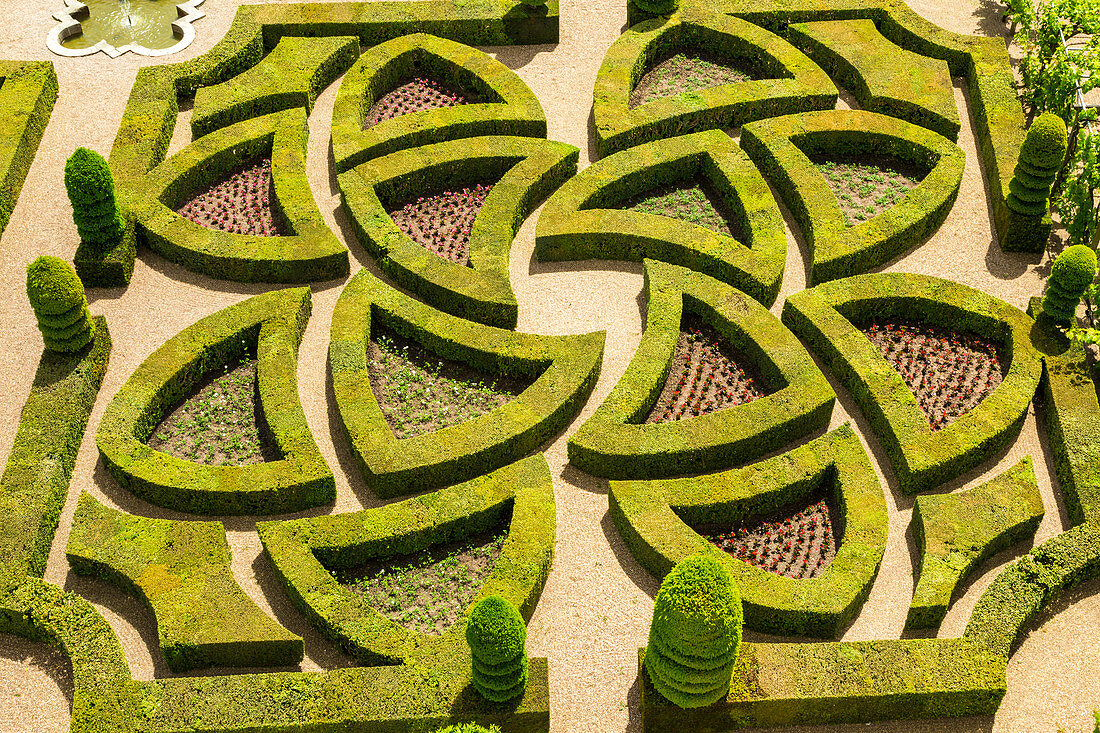 Formelle Gärten, Schloss von Villandry, Indre et Loire, Loiretal, Frankreich