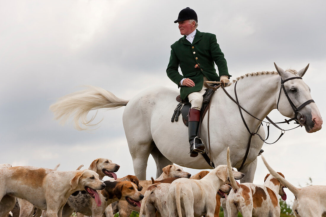 Fuchsjagd, Reiter und Jagdhunde, Gloucestershire, UK