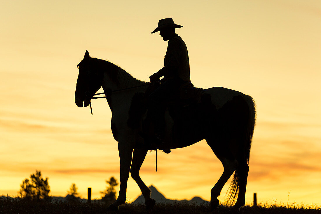 Cowboy und Pferd in Silhouette in der Morgendämmerung auf Ranch, Britisch-Kolumbien, Kanada