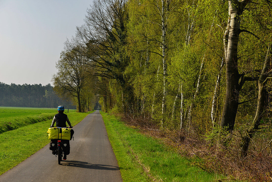 Radfahrerin mit vollem Gepäck auf einem einsamen Feldweg, bei Lehrte, Niedersachsen, Deutschland