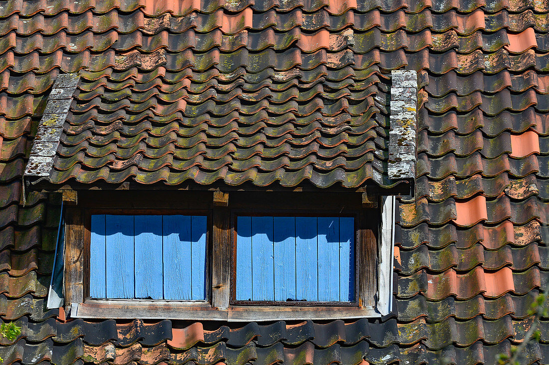 Gaube mit blauen Fensterläden im alten Dach, Gut Rühmekorf, Nordstemmen, Niedersachsen, Deutschland