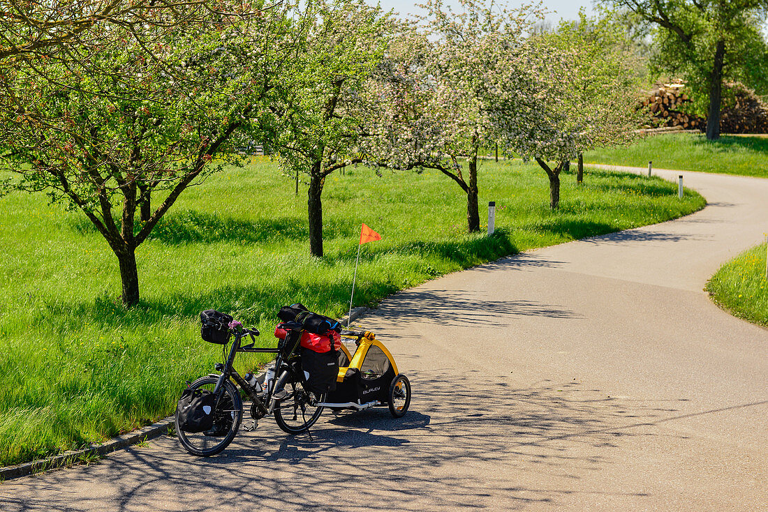 Bepacktes Touren-Fahrrad mit Hundeanhänger vor Kirschbäumen und Wiese, Labing an der Donau, Österreich