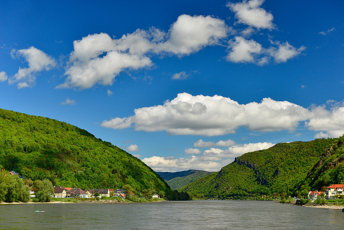 Auf dem Donauradweg mit Blick auf die Donau und Berge, Spitz, Österreich