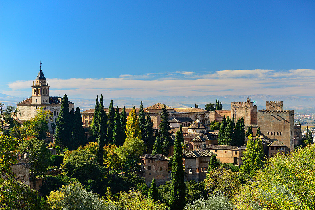 View of the Alhambra and park area, Granada, Andalusia, Spain