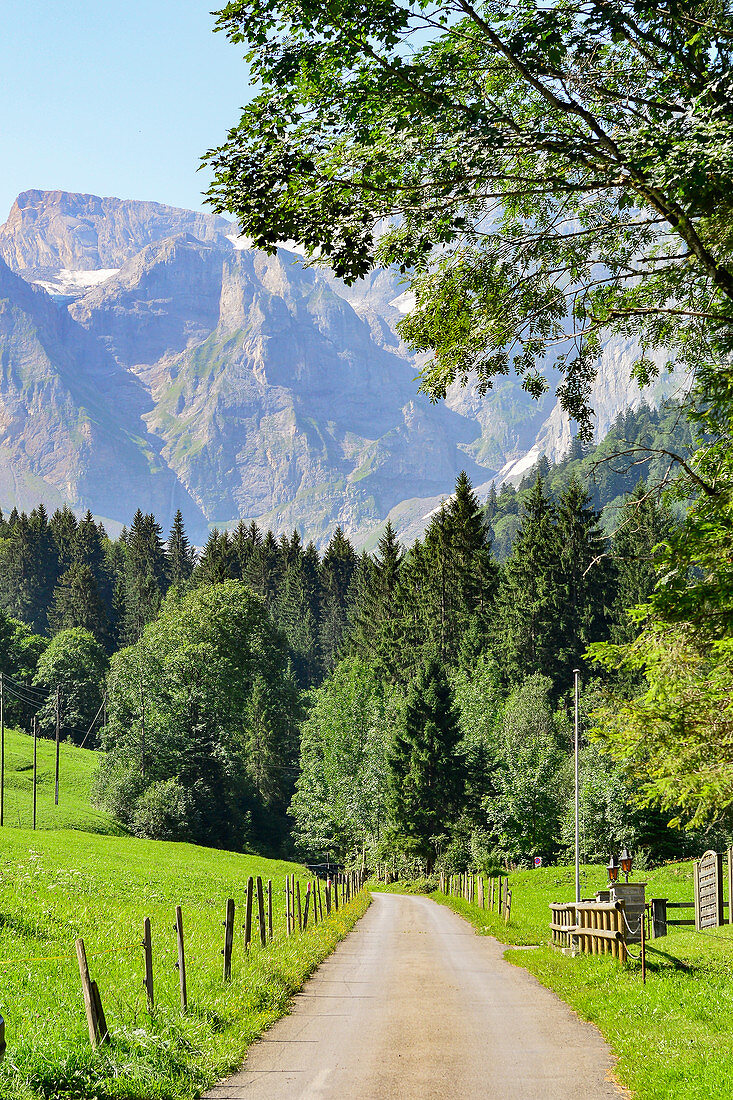 Ein Feldweg führt durch die Landschaft mit den Alpen im Hintergrund, bei Isenthal, Kanton Uri, Schweiz