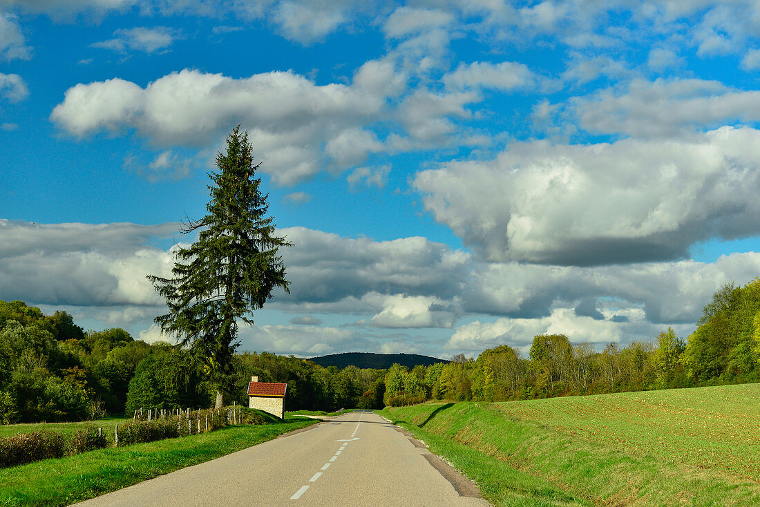 Lonely country road with fields and hills near Macon, France