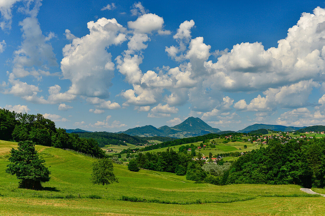 Aussicht über die weite Landschaft mit Wäldern und Bergen, bei Rogatec, Slowenien
