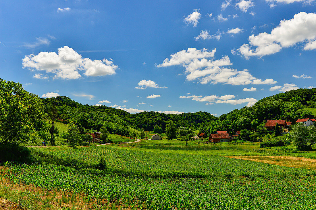 Beautiful, lonely valley with fields and forest, near Strmec, Croatia