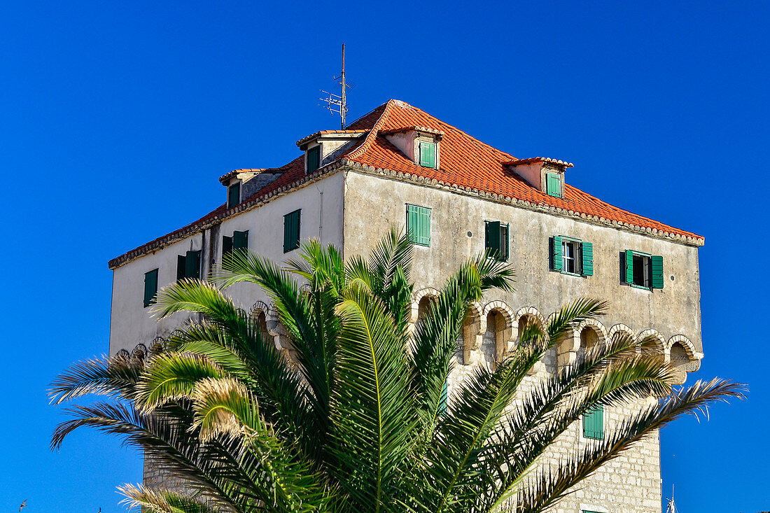 Old, tower-shaped house and a palm tree, Rogoznica, Dalmatia, Croatia