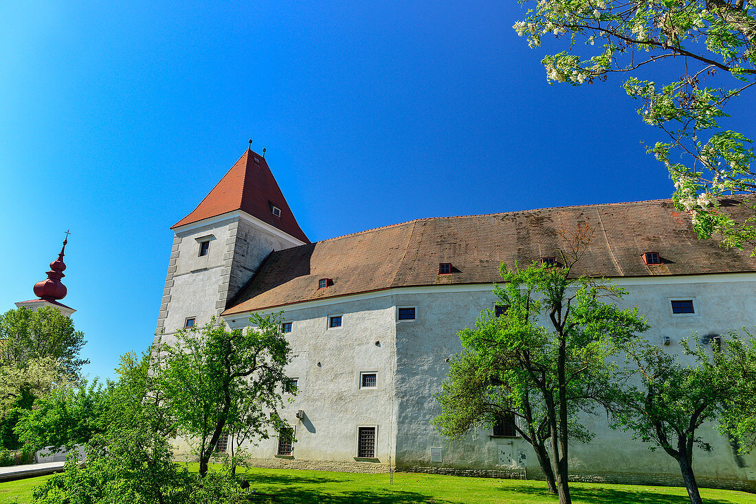 Das historische Schloss Orth mit Park, Orth an der Donau, Niederösterreich, Österreich